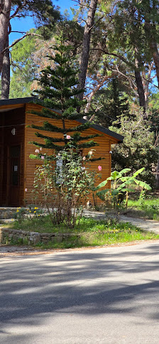Çamlık Çadır Karavan Kamp Alanı Yerel İşletme fotoğrafı 2